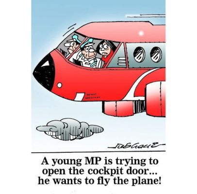 कार्टूनिस्ट सुभानी, डेक्कन क्रॉनिकल