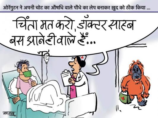 कार्टूनिस्ट कप्तान