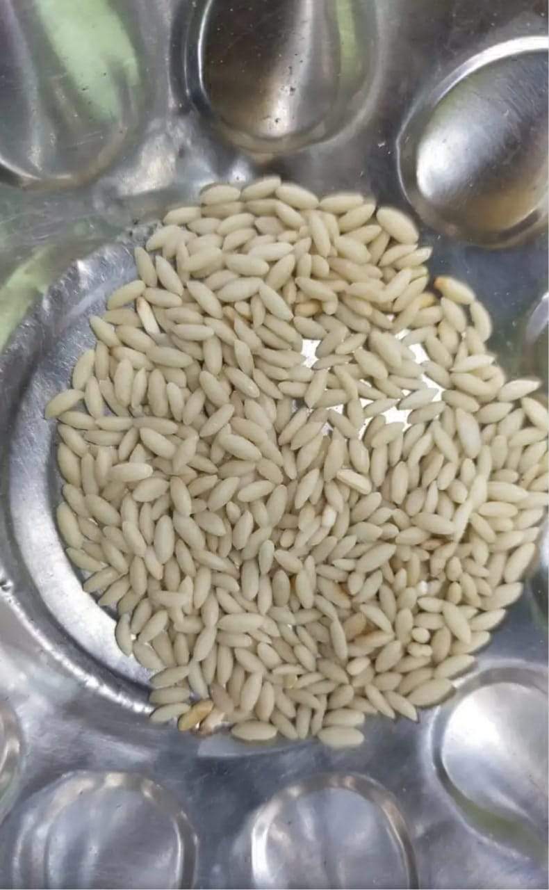 सोशल मीडिया में कथित प्लास्टिक चावल सप्लाई को लेकर हडक़ंप सोशल मीडिया में कथित प्लास्टिक चावल सप्लाई को लेकर हडक़ंप