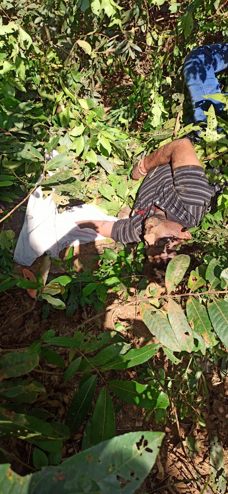 नाला के पास मिली युवक की लाश, हत्या या हादसा, जांच नाला के पास मिली युवक की लाश, हत्या या हादसा, जांच