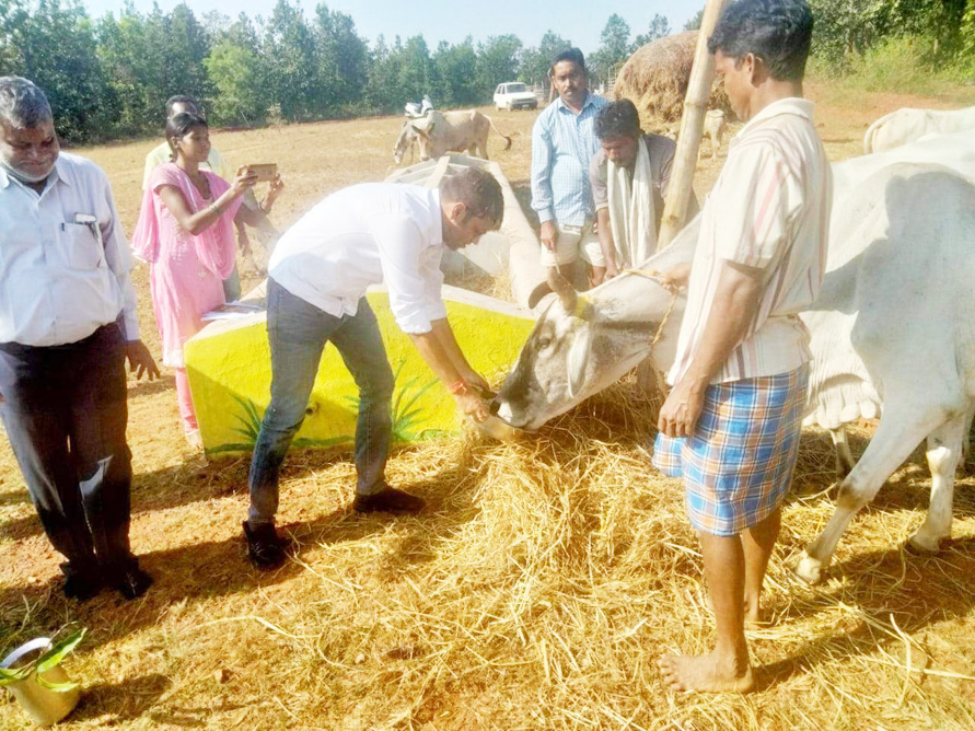 गोठान पहुंचकर कलेक्टर-एसपी ने की पूजा, खिचड़ी खिलाई