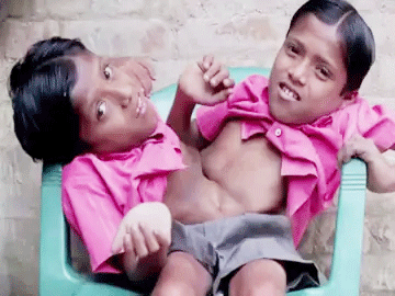 पिता पर लगाए पैसे नहीं देने और प्रताडि़त करने के आरोप, जांच टीम गठित पिता पर लगाए पैसे नहीं देने और प्रताडि़त करने के आरोप, जांच टीम गठित