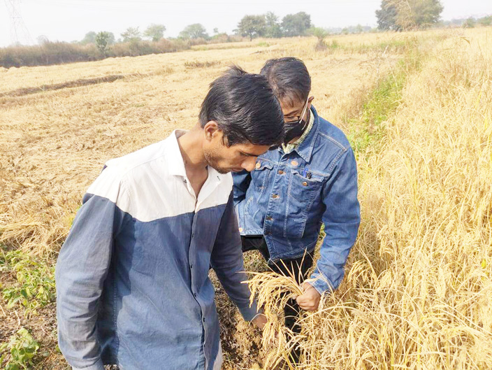 जैविक खाद से प्रति एकड़ एक क्विंटल अधिक हो रही फसल