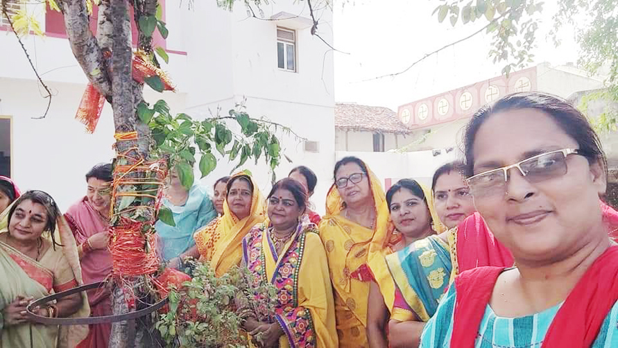 कार्तिक पूर्णिमा पर आंवला की पूजा कार्तिक पूर्णिमा पर आंवला की पूजा