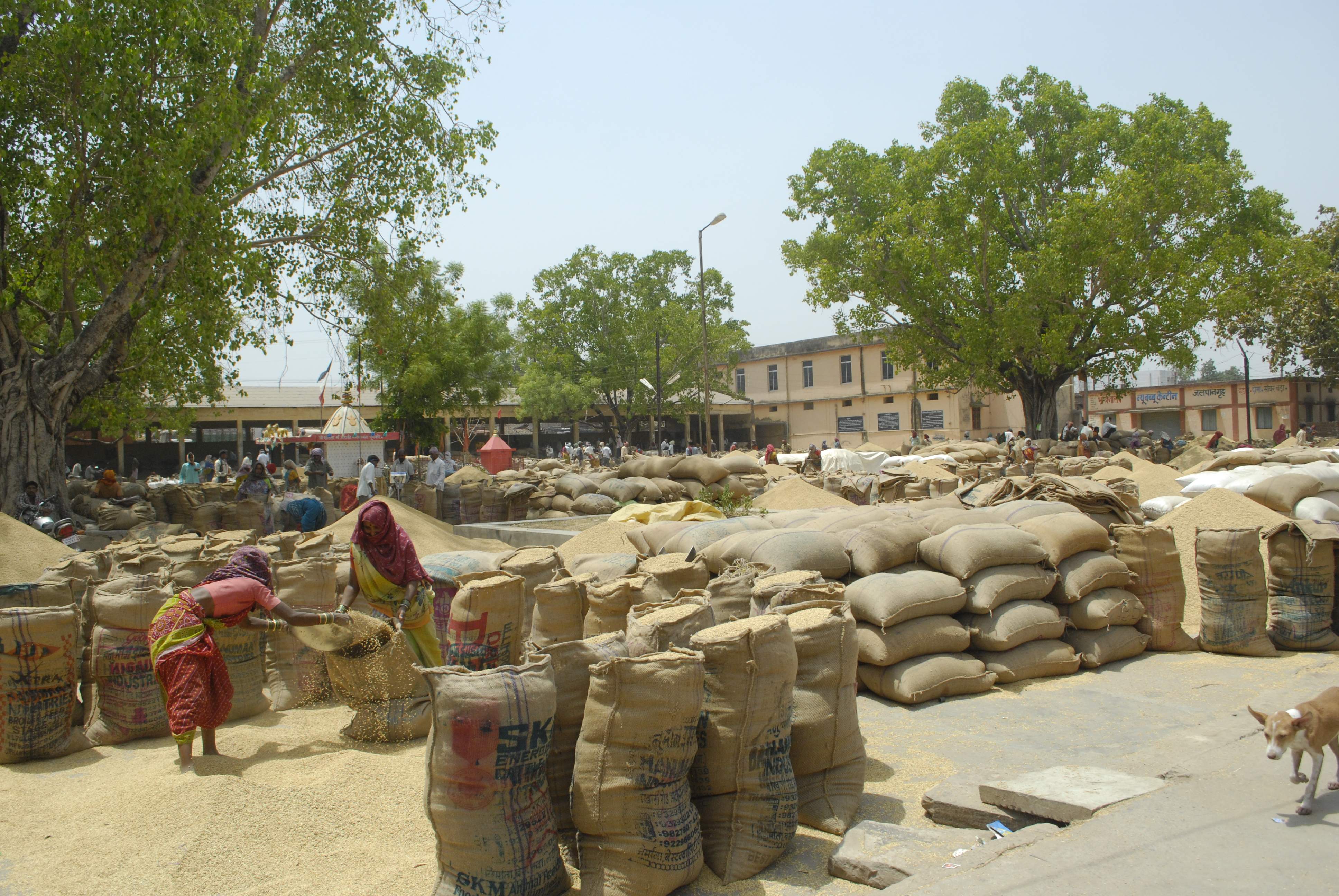 भाटापारा में नई कृषि उपज मंडी निर्माण की जरूरत