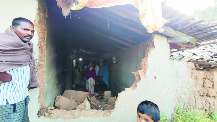 पत्थलगांव रेंज में पहुंचेहाथी, वन विभाग की टीम डटी रही रात भर गांव में