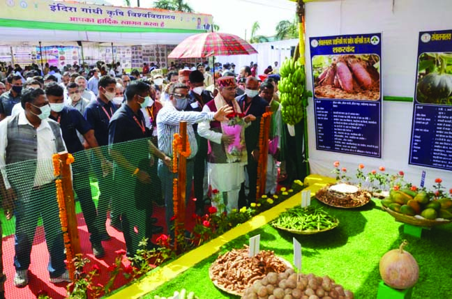 सीएम ने कृषि मड़ई में विभागीय स्टालों का किया अवलोकन, बस्तर के स्थानीय उत्पादों को सराहा सीएम ने कृषि मड़ई में विभागीय स्टालों का किया अवलोकन, बस्तर के स्थानीय उत्पादों को सराहा
