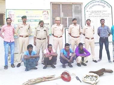 करंट से भालू का शिकार, 4 बंदी करंट से भालू का शिकार, 4 बंदी