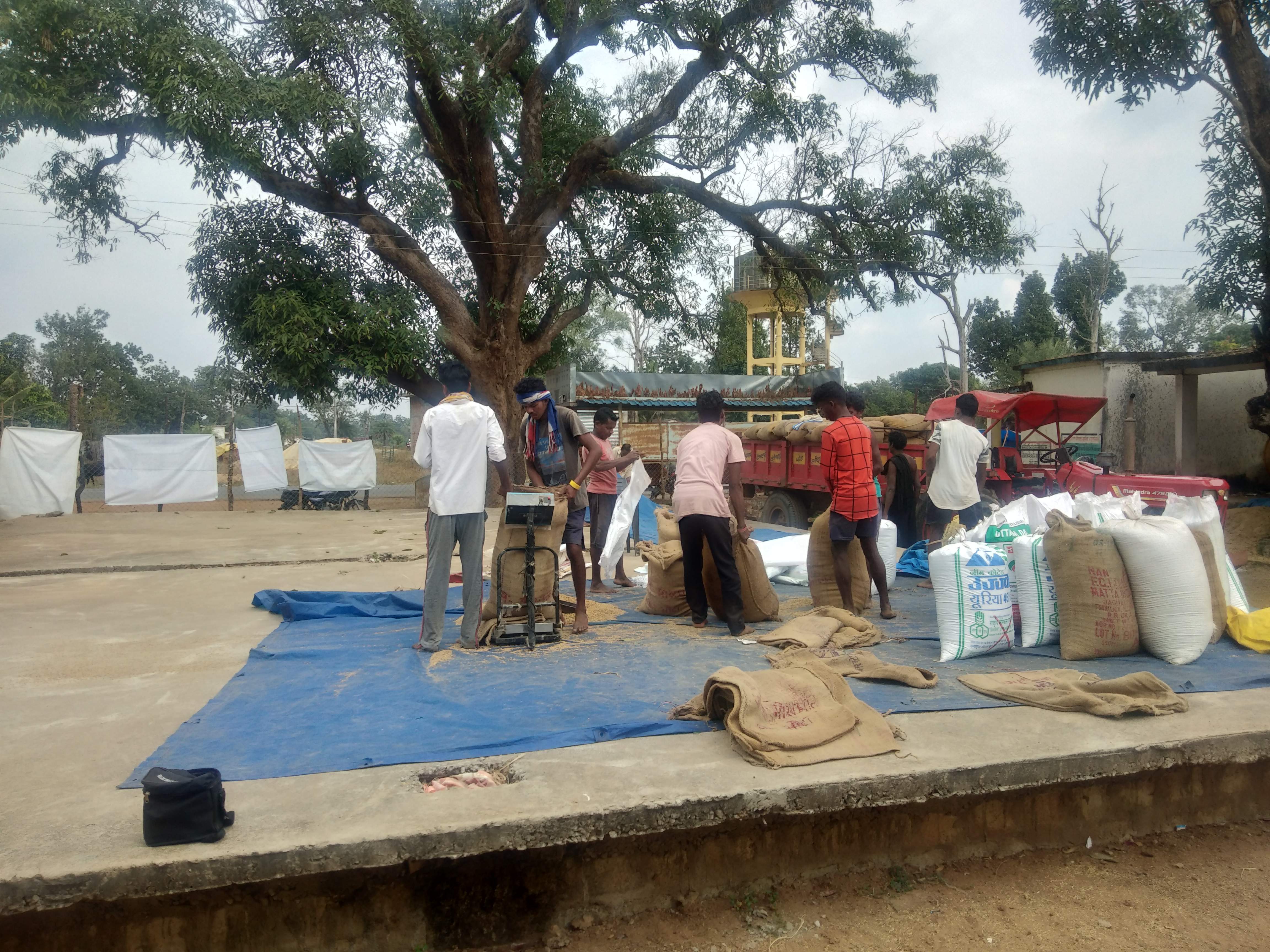 धान खरीदी केंद्रों में आवक धीमी