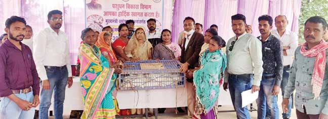 मुर्गी वितरण से आजीविका संग सुपोषण