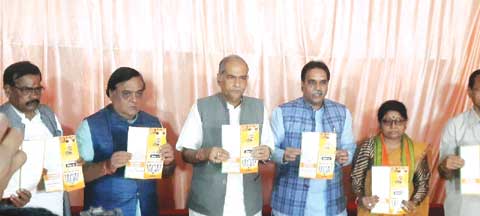    बीरगांव ननि को प्रदूषण मुक्त बनाने का वादा