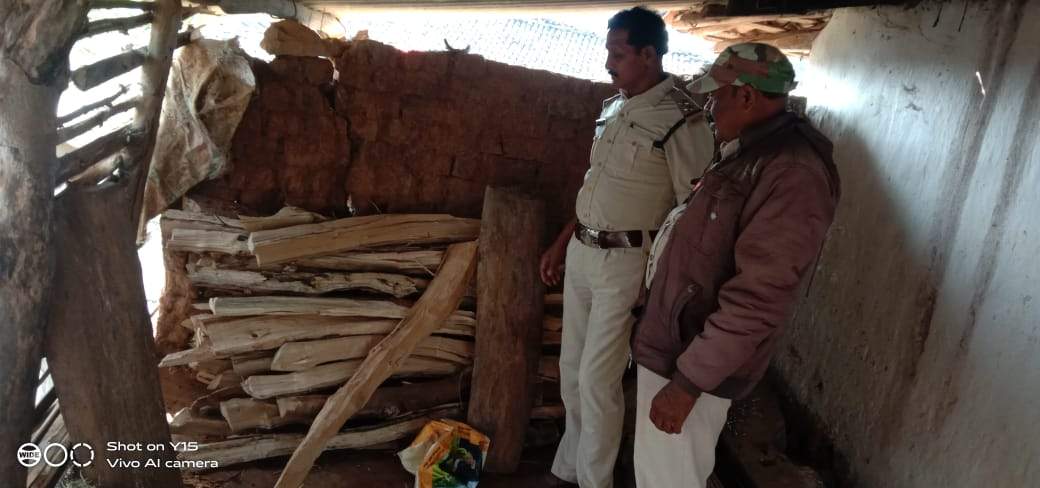 चिकनीपानी जंगल में पेड़ काटने वाले 4 पकड़ाए