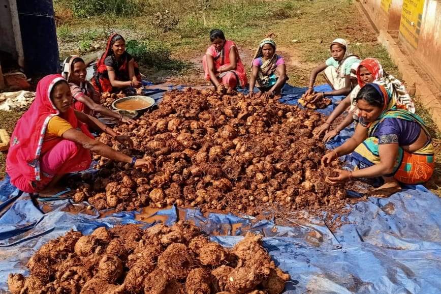 गौठान बागवानी से आजीविका की राह हुई आसान