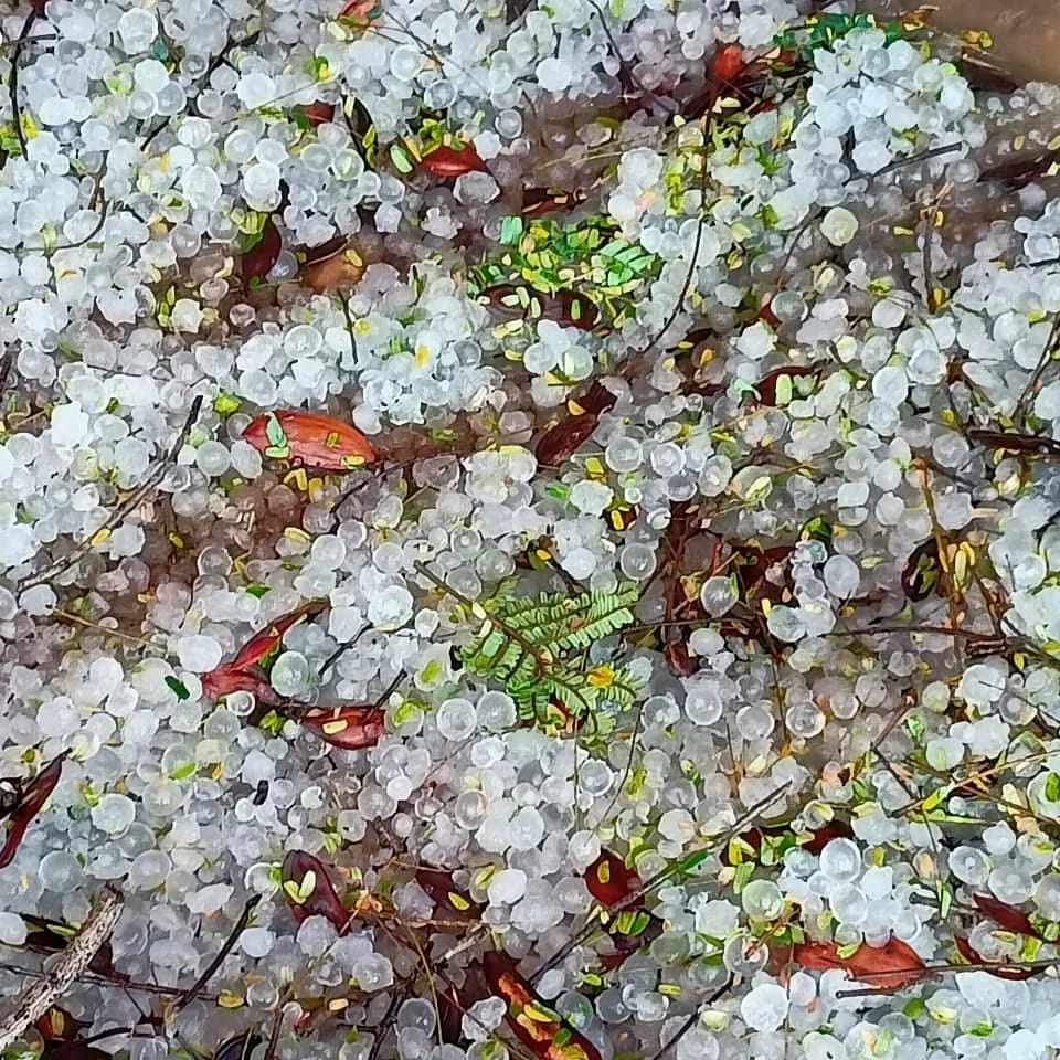 बेमेतरा में गिरे ओले