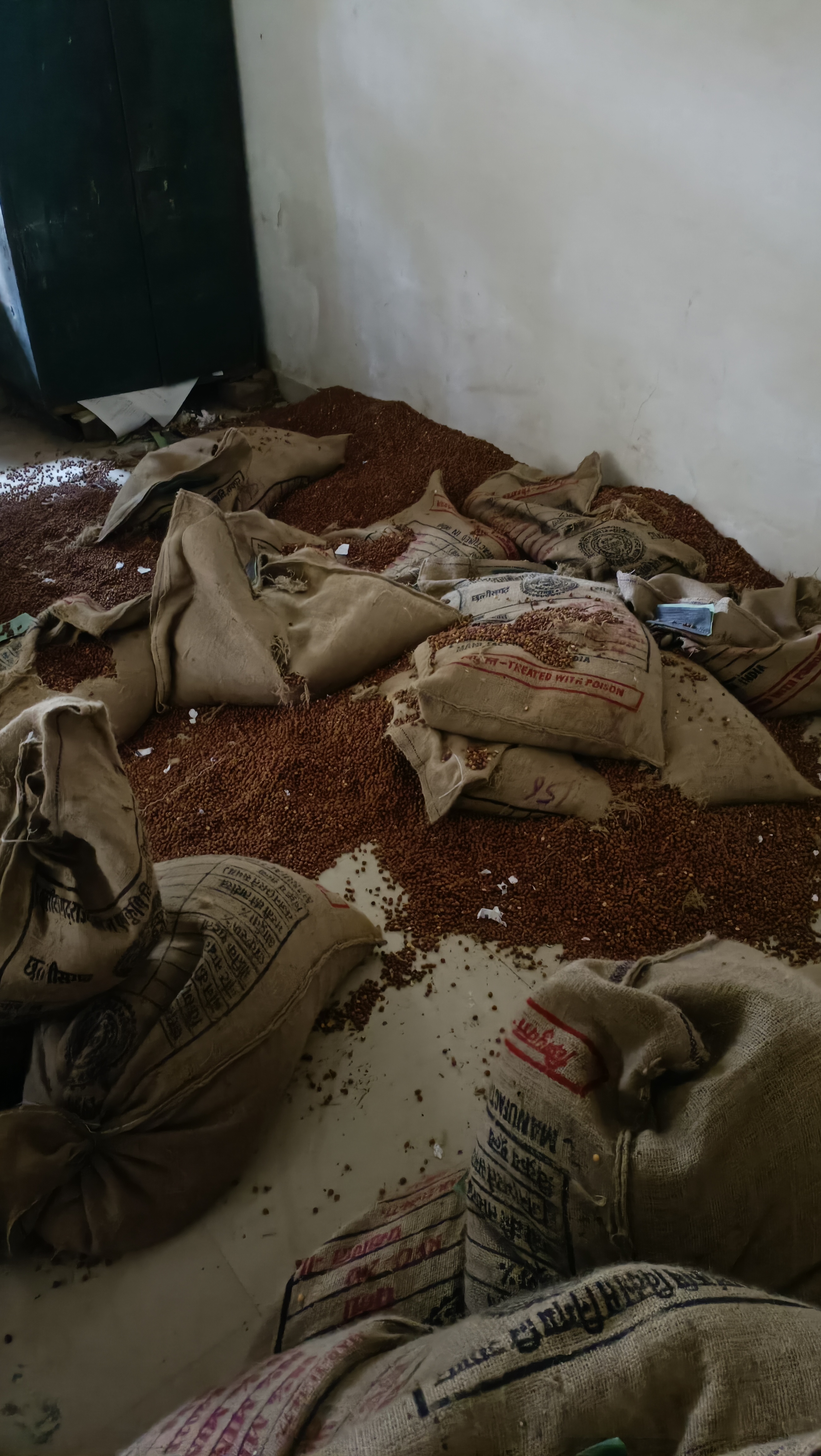 रखरखाव नहीं, चने को कुतर रहे चूहे