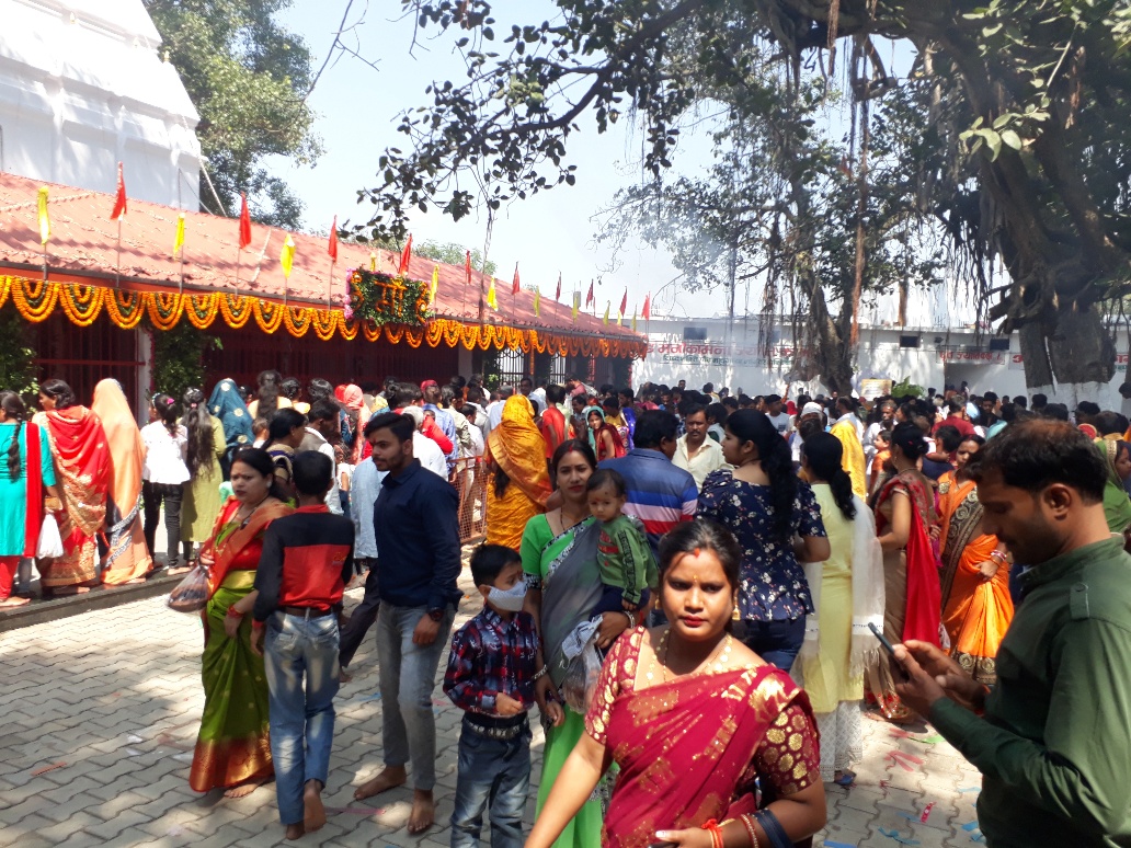 नए साल के जश्न में डूबे रहे लोग, पिकनिक स्थल व उद्यान रहे गुलजार