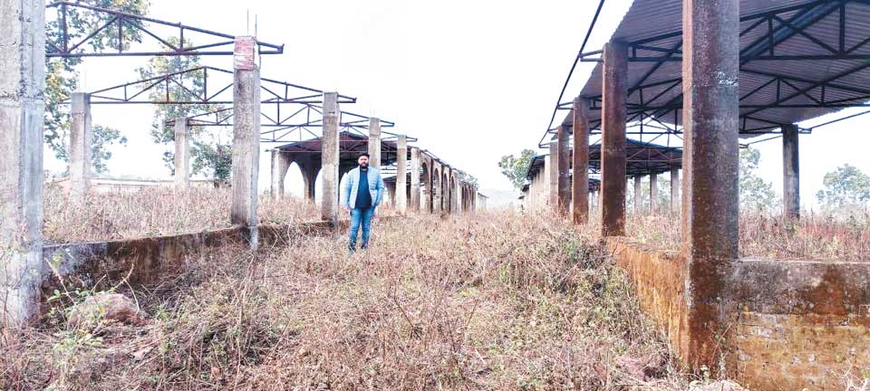 जान जोखिम में डाल सडक़ किनारे बाजार, आंबा भवन में मवेशी