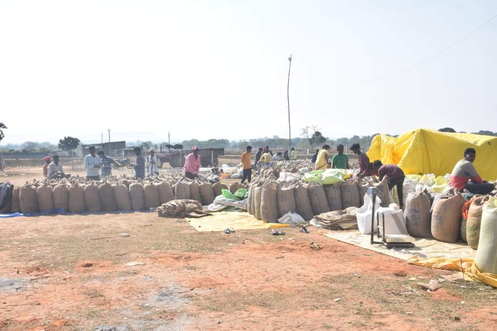 जिले के किसानों ने 1 लाख 16 हजार मीट्रिक टन धान बेचा