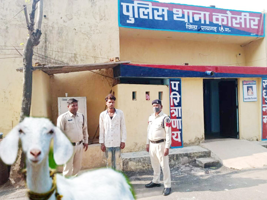 बकरी चोर गिरफ्तार