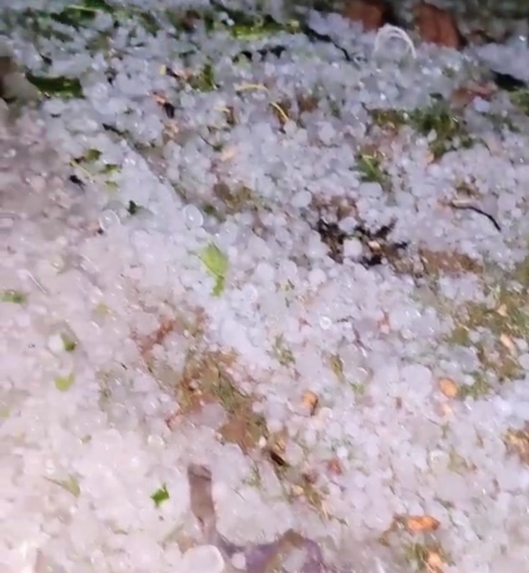 सूरजपुर-बलरामपुर में बारिश के साथ ओलावृष्टि