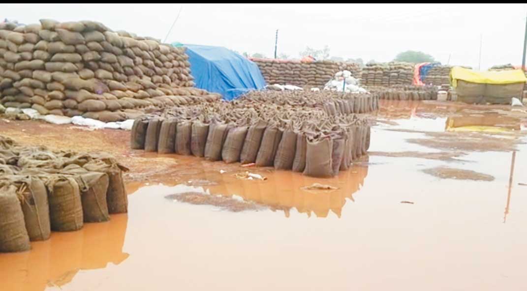 बेमेतरा के 41 हजार किसानों से 1.80 लाख टन धान की खरीदी बाकी