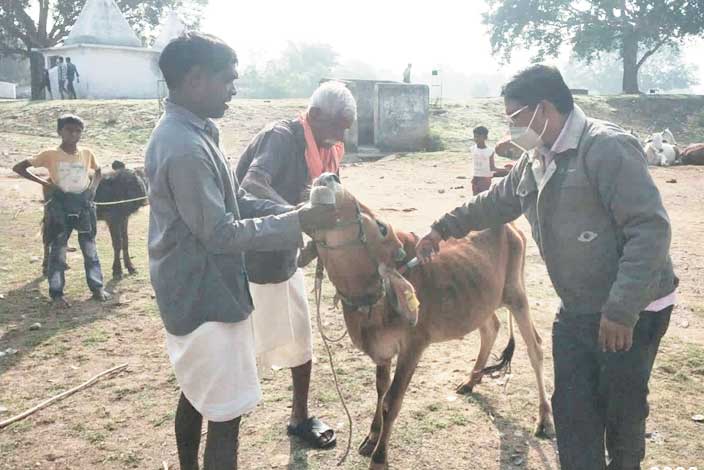 टीकाकरण और पशु पोषण विभागीय योजनाओं की दी जानकारी