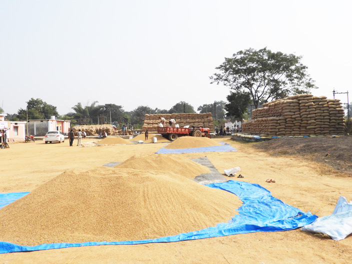जिले में 41 लाख क्विंटल से ज्यादा धान खरीदी