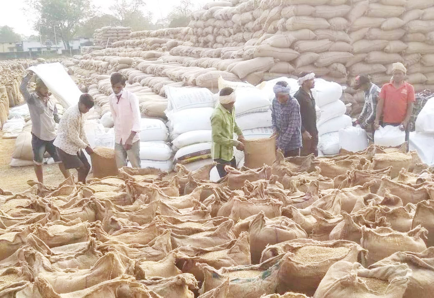 80 फीसदी किसानों से धान खरीदी, 67 फीसदी उठाव