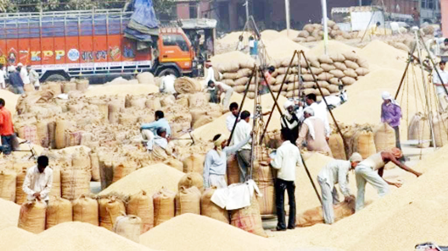 धीमी गति से चल रही लोहर सिंह धान खरीदी मामले की जांच