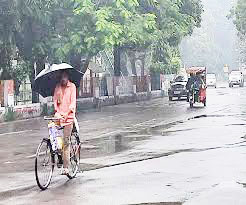 बेमौसम बारिश से धान खरीदी फिर प्रभावित बेमौसम बारिश से धान खरीदी फिर प्रभावित