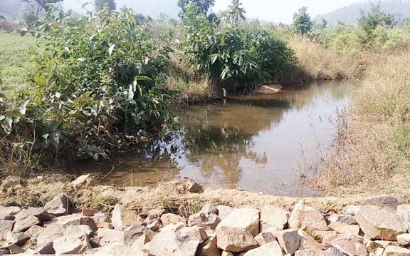 रबी फसल के लिए मिल रहा पानी रबी फसल के लिए मिल रहा पानी