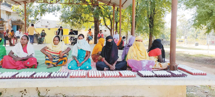 अंडे उत्पादन से रोजगार संग सुपोषण