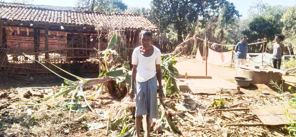 धमतरी के गांवों में हाथी दल मकान व फसल को पहुंचा रहे नुकसान