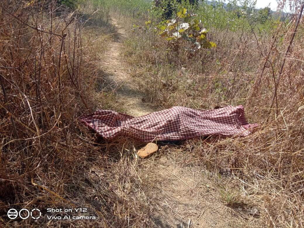 भालू के हमले से बच्चे की मौत