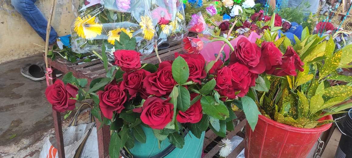 कोरोना ने तोड़ी फूल कारोबारियों की कमर, सोमवार से शुरू हो रहा है वेलेंटाइन वीक