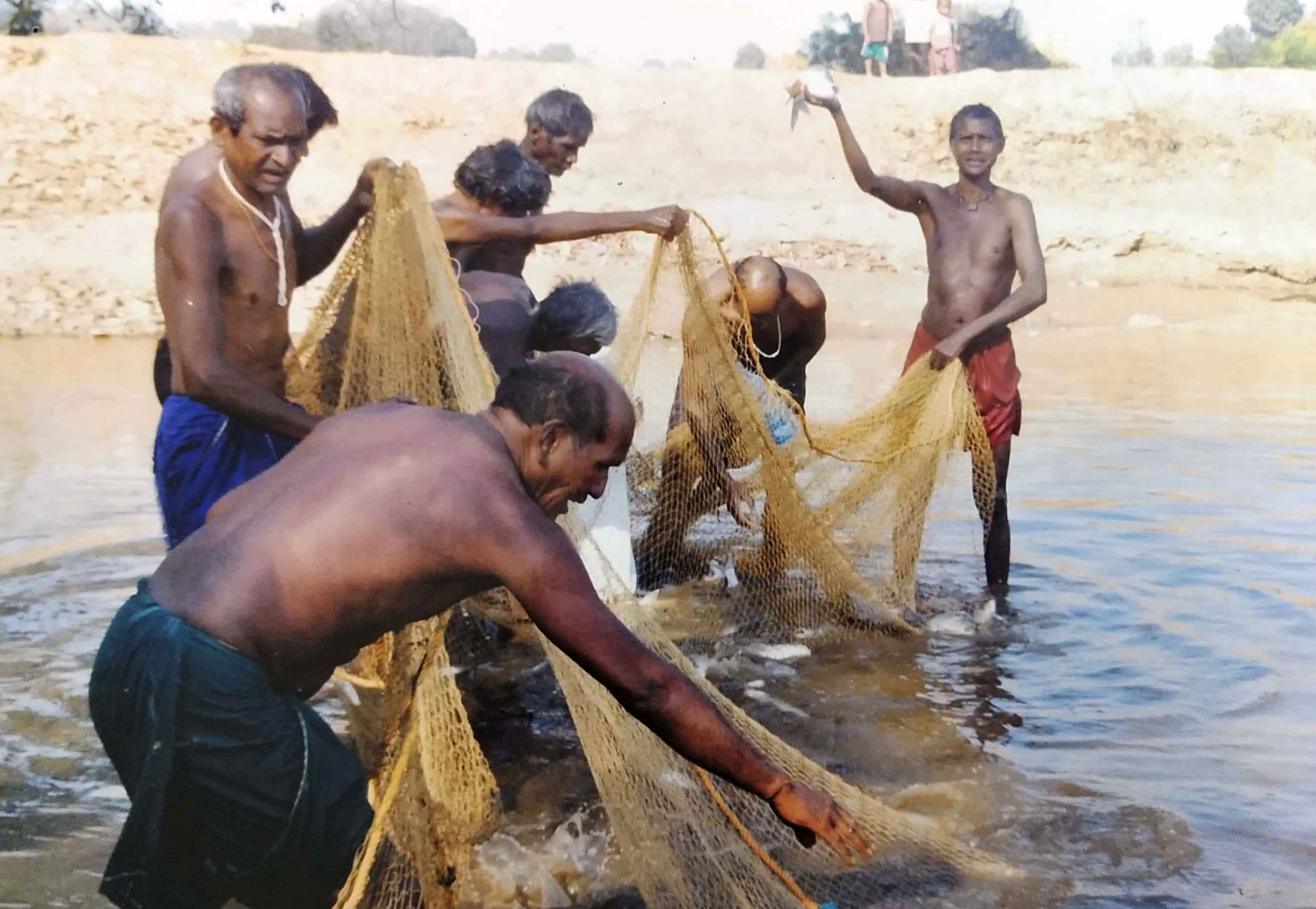 मछली पालन से चैतन को मिला रोजगार  