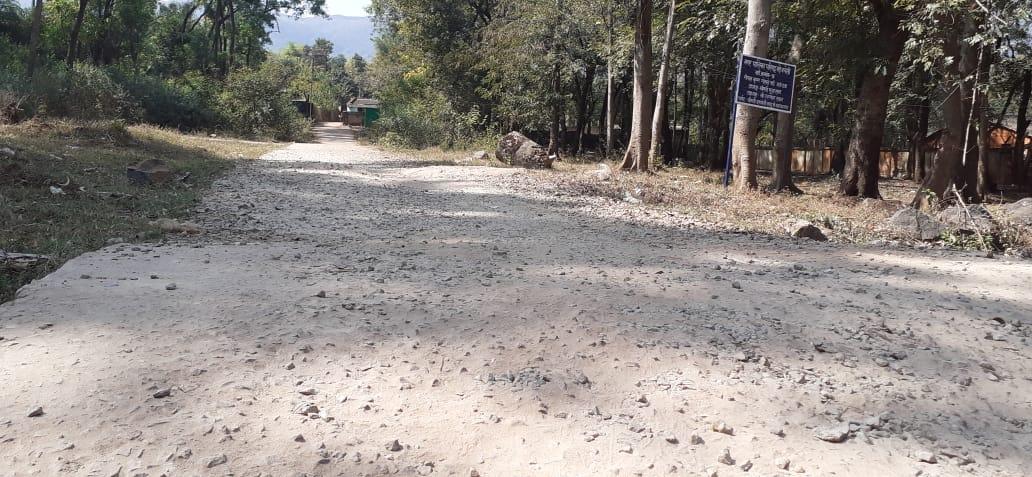 कुछ ही महिने में सीसी सडक़ बदहाल