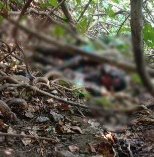 भालू के हमले से ग्रामीण की मौत