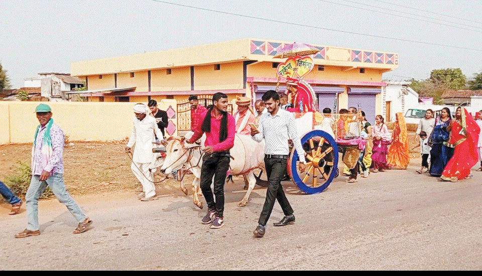 बैलगाड़ी से निकली बारात, लोगों ने कहा प्राचीन संस्कृति की दिखी झलक बैलगाड़ी से निकली बारात, लोगों ने कहा प्राचीन संस्कृति की दिखी झलक