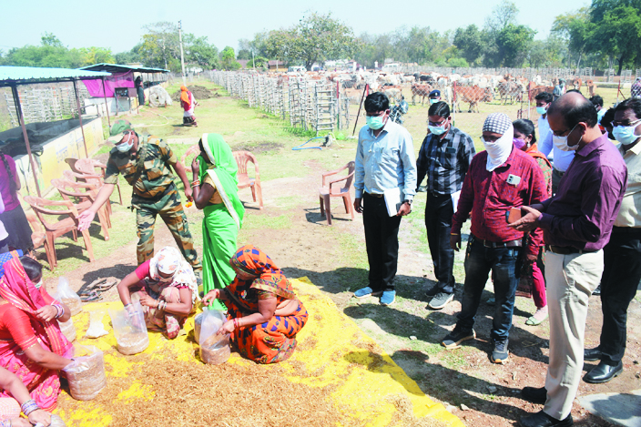 विचारपुर और फत्तेपुर गौठान का कलेक्टर ने किया निरीक्षण