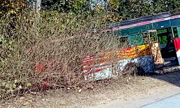 बेकाबू बस पेड़ से टकराई