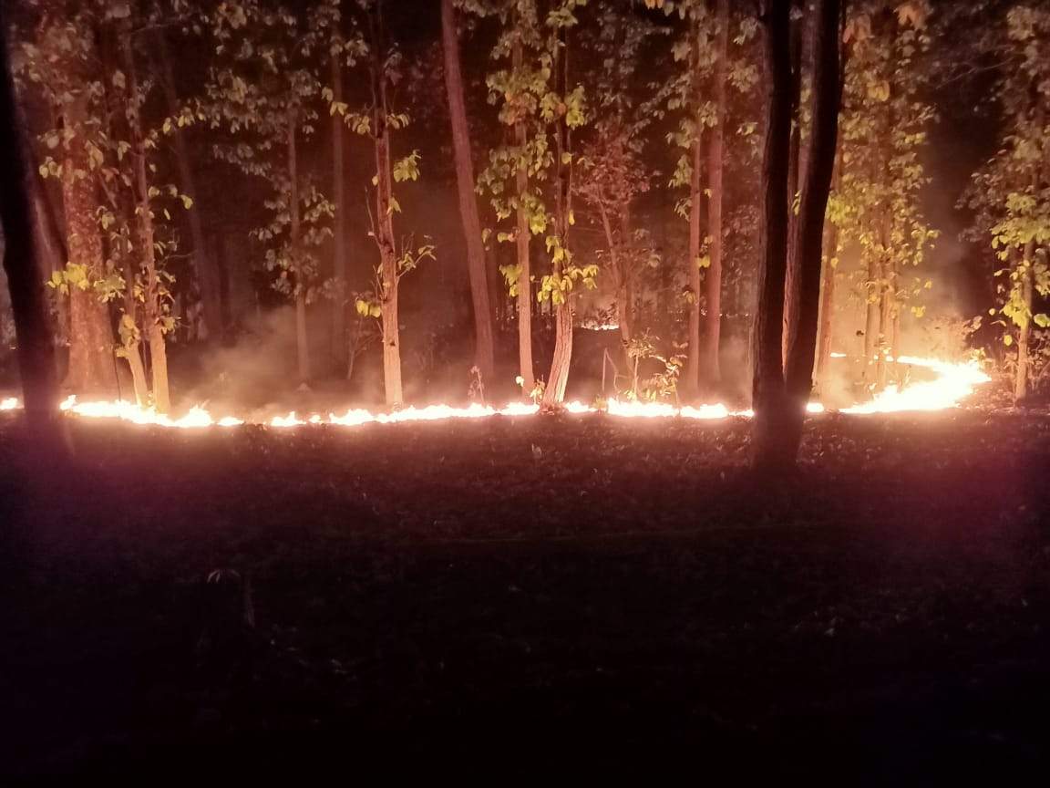 सेमरसोत अभ्यारण और कदौरा रेंज में लगी आग