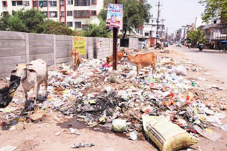 मुक्कड़ में कचरों का अंबार, उठाव में लापरवाही