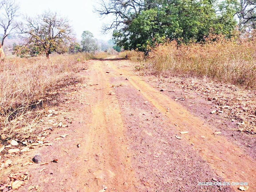 पाढ़ापुर से कोड़ेनार तक कुछ किमी सडक़ बदहाल