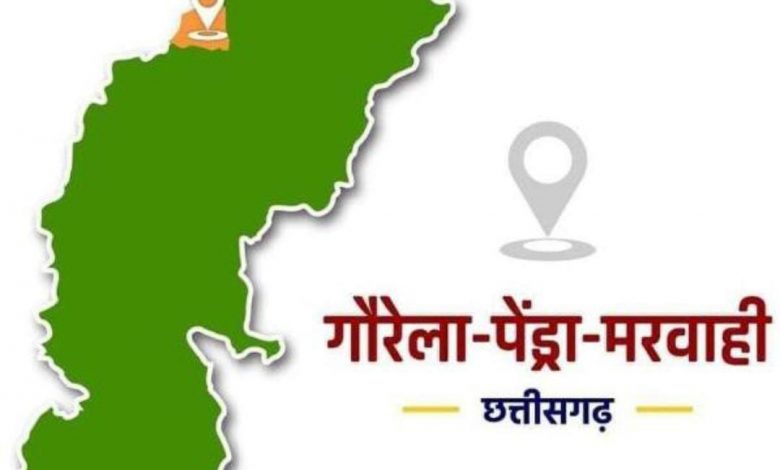 कलेक्टर के निरीक्षण में 11 शिक्षक स्कूलों से गायब मिले, सभी का कटेगा वेतन