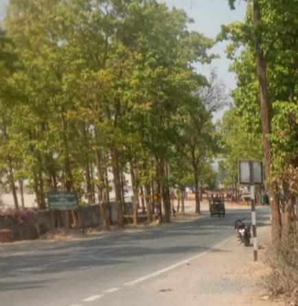 बीटी पैच रिपेयर कार्य में अनियमितता