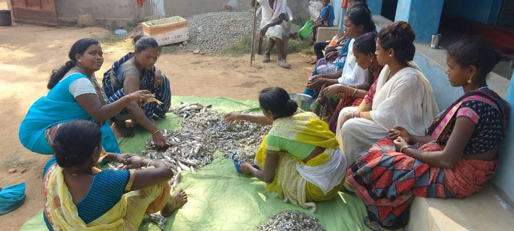 पेशेवर तरीके से मछली पालन कर महिलाओं ने चुना उन्नति का पथ