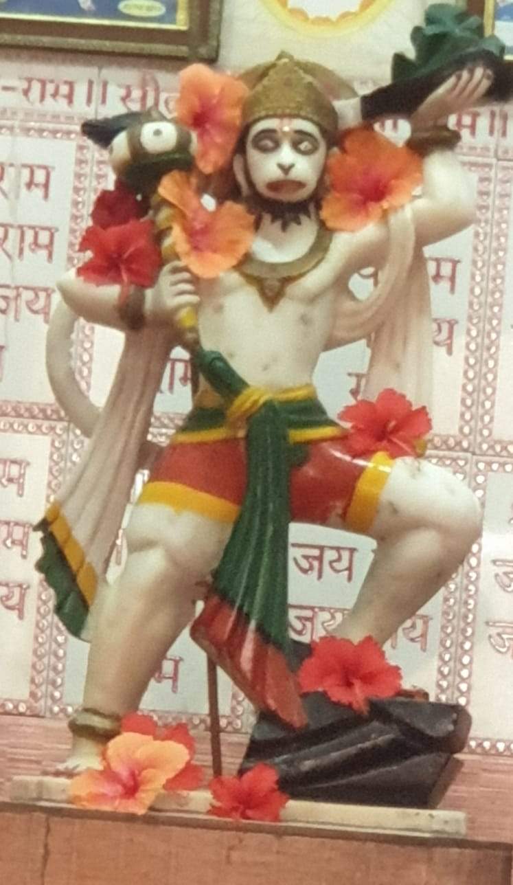 हनुमान जन्मोत्सव उत्साह पूर्वक मनाया