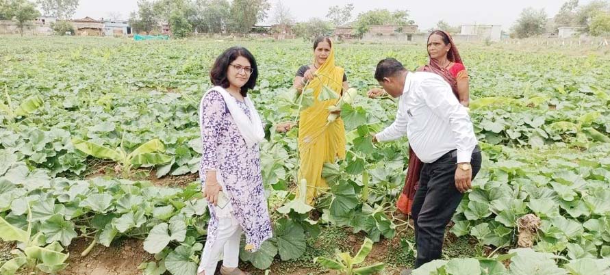 सब्जी उत्पादन से महिलाएं होंगी आत्मनिर्भर