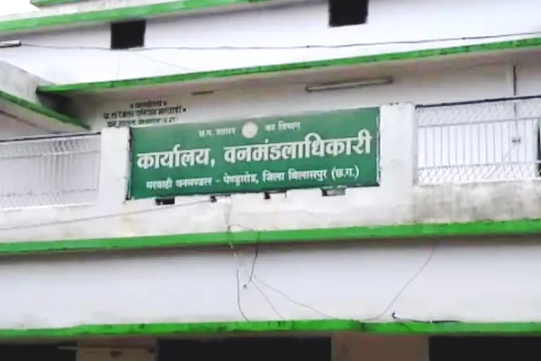 मनरेगा में भ्रष्टाचार, मरवाही वन मंडल के रेंजर सहित पांच अफसर, 7 फॉरेस्ट गार्ड निलंबित